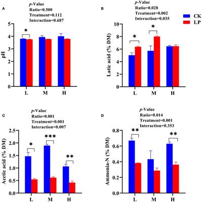 Influence of Lactobacillus plantarum inoculation on the silage quality of intercropped Lablab purpureus and sweet sorghum grown in saline-alkaline region